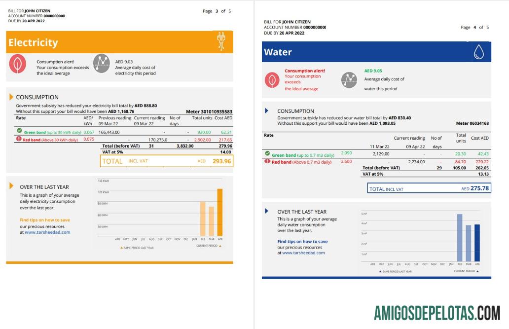 imprimível Emirados Árabes Unidos Abu Dhabi Al Ain Distribution Co. Modelo de conta de serviços públicos em Word e PDF (5 páginas) 3 4
